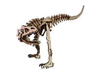 Wooden Custom DIY Model | Dino Pack